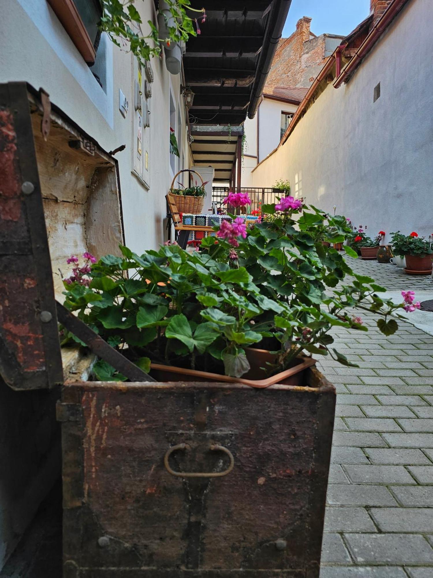 Central Cozy House Sibiu Διαμέρισμα Εξωτερικό φωτογραφία