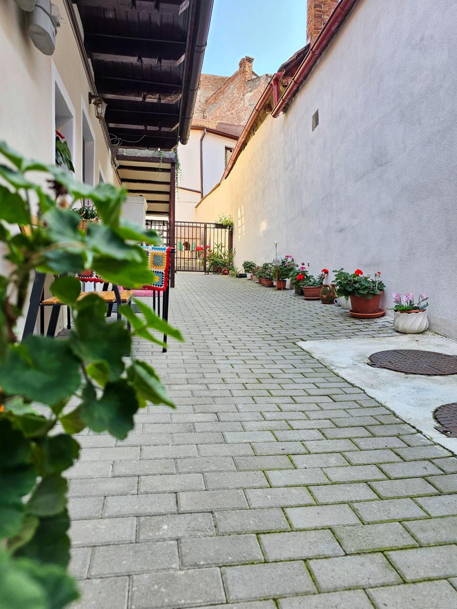Central Cozy House Sibiu Διαμέρισμα Εξωτερικό φωτογραφία